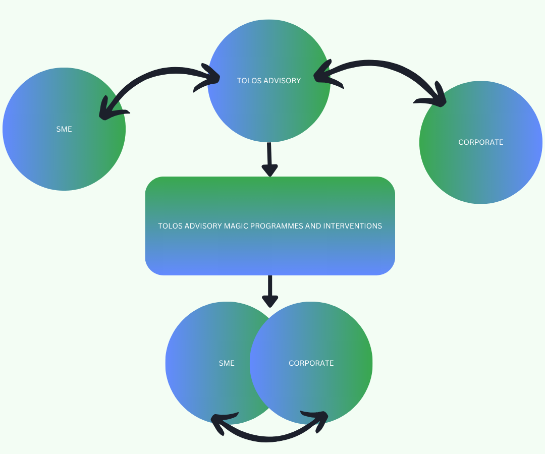 Our growth model